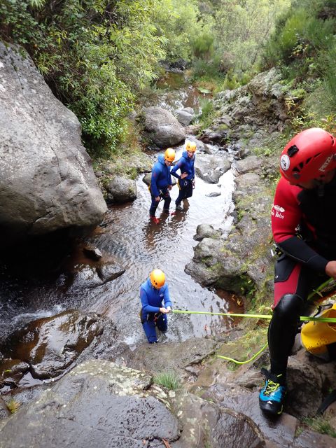 From Funchal: Madeira Island Canyoning for Beginners - Your 2-hour canyon run: slides, swimming, abseils, and optional jumps