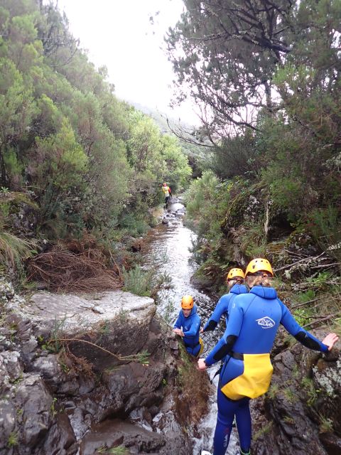 From Funchal: Madeira Island Canyoning for Beginners - Rain or shine, but keep your expectations realistic