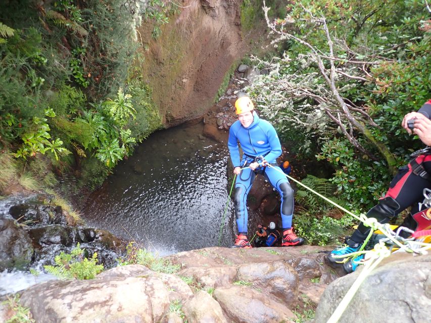 From Funchal: Madeira Island Canyoning for Beginners - Timing and logistics: how the half-day feels as a plan