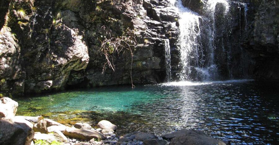 From Funchal: Madeira Lakes Levada Guided Hike - Key Highlights You’ll Feel on This Hike