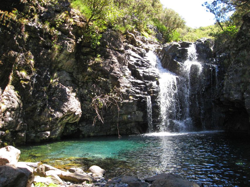 From Funchal: Madeira Lakes Levada Guided Hike - Why Levadas Make Madeira Feel Wild