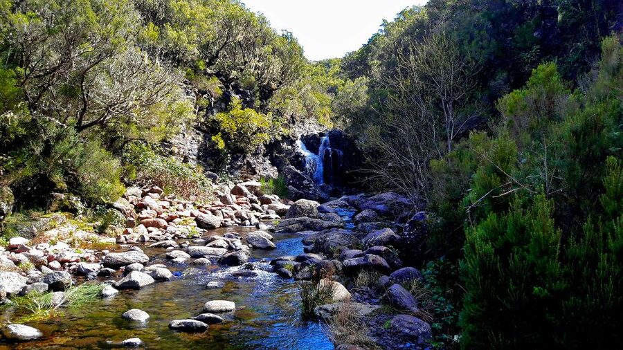 From Funchal: Madeira Lakes Levada Guided Hike - When This Hike Might Not Be the Right Choice
