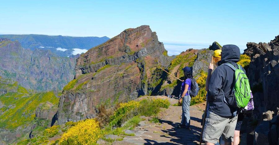 From Funchal: Madeira Peaks Mountain Walk - Quick hits on the Madeira Peaks Mountain Walk