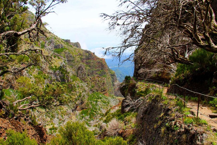 From Funchal: Madeira Peaks Mountain Walk - Price and Value: Is $50 Fair for an 8-Hour Guided Peaks Hike?