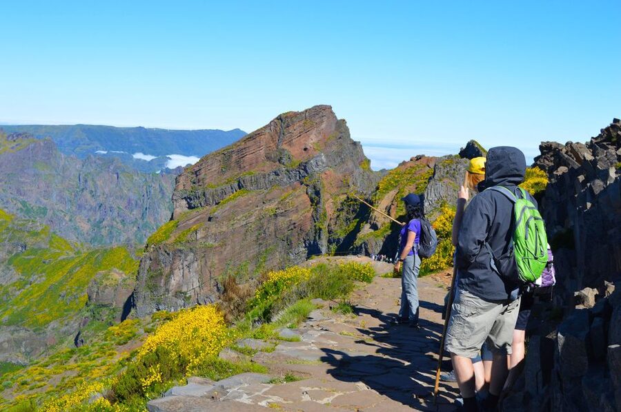 From Funchal: Madeira Peaks Mountain Walk - Going Up to Pico Ruivo From Funchal in an Air-Conditioned Van