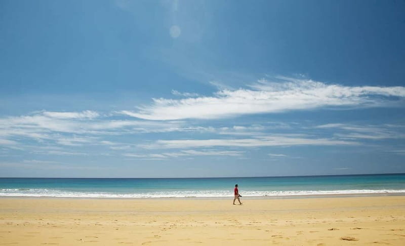 From Funchal: Porto Santo 1-Day Cruise and Tour - Who this tour suits best