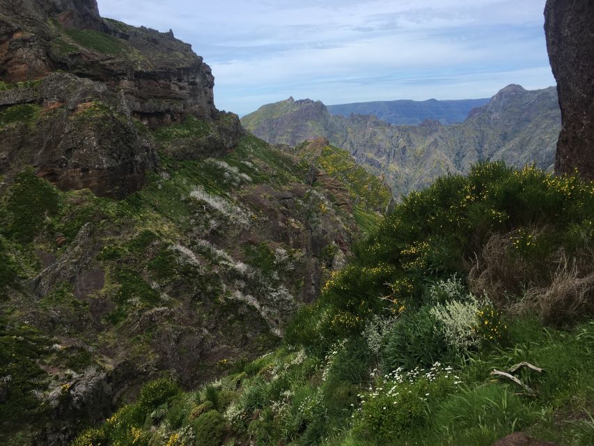From Funchal: Santana and Pico do Areeiro East Island Tour - From Funchal by minibus: the small details that matter