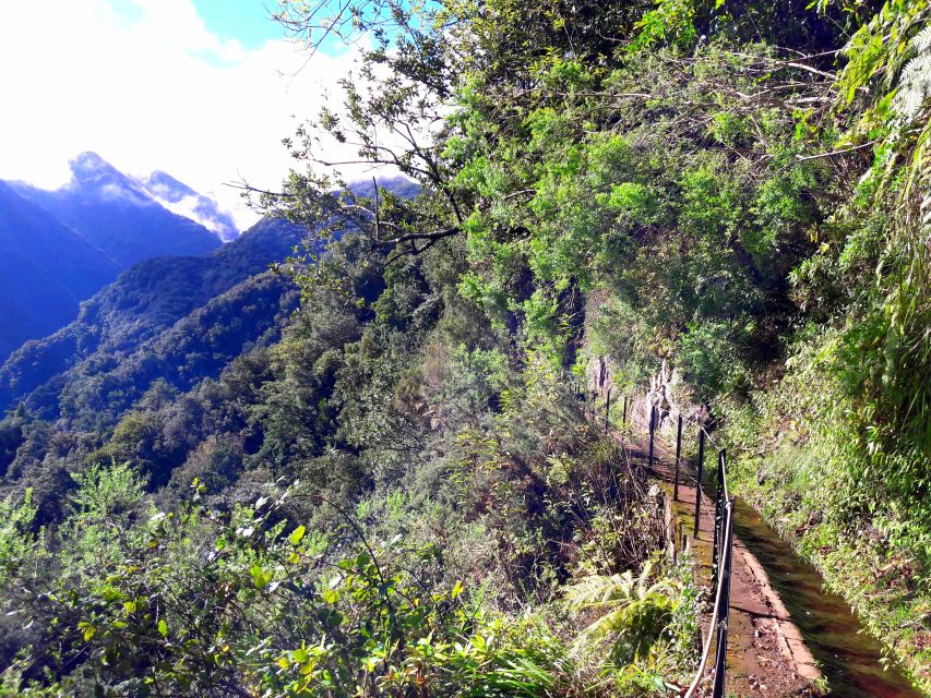 From Funchal: São Jorge Valleys Levada Walk - Key highlights you will actually feel on the trail
