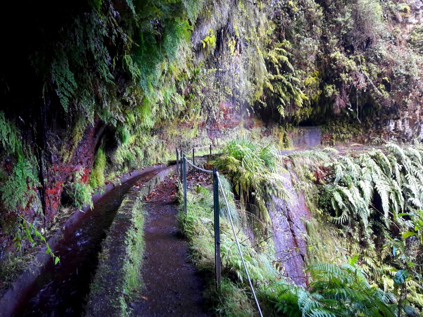From Funchal: São Jorge Valleys Levada Walk - Who this São Jorge Valleys levada walk is best for