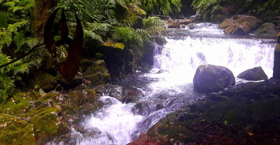 From Funchal: São Jorge Valleys Levada Walk - Walking behind a waterfall, and why that changes the whole mood