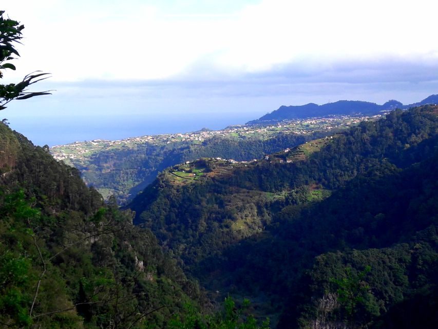 From Funchal: São Jorge Valleys Levada Walk - Learning Madeira’s native herbs and medicinal plants for real life context