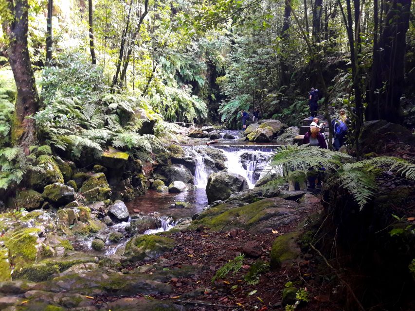 From Funchal: São Jorge Valleys Levada Walk - The Ribero Bonito pause, and why timing makes photos easier