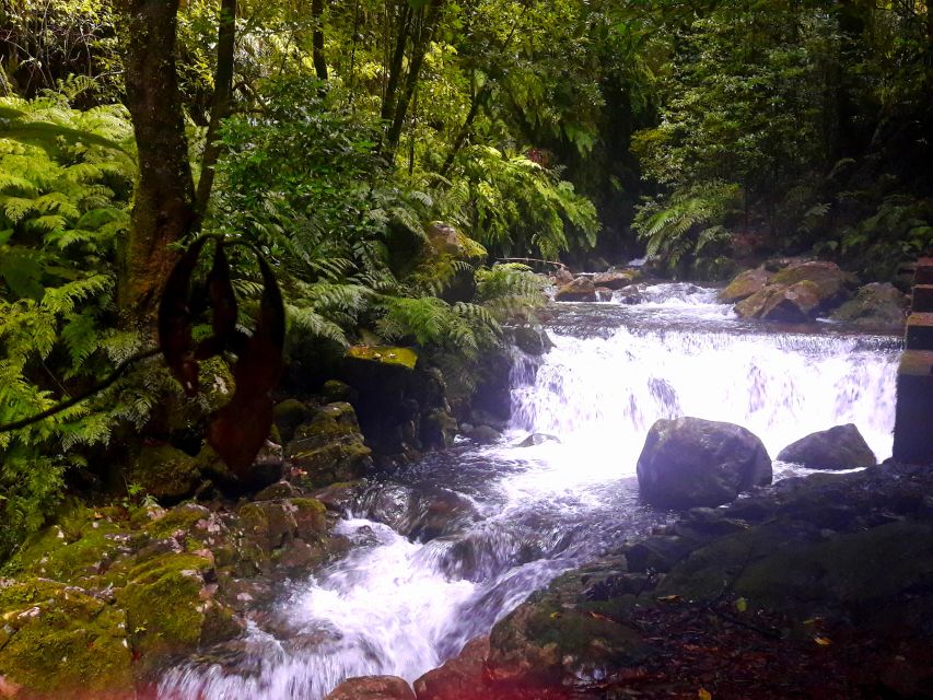 From Funchal: São Jorge Valleys Levada Walk - What to bring for a comfortable 8-hour day