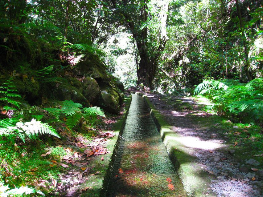 From Funchal: São Jorge Valleys Levada Walk - The levada walk: engineered water channels through Madeira’s valleys