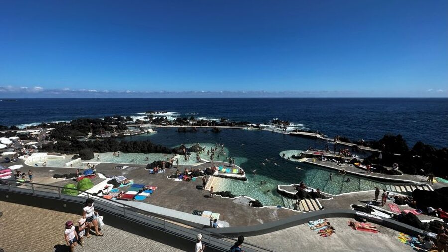 From Funchal:West Madeira Open-roof 4x4 Day Tour with Pickup - Off-road forest driving: the moment Madeira turns physical