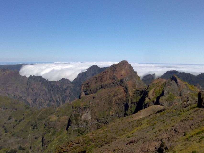 From Funchal: West Madeira Waterfalls and Fanal Forest Tour - North Coast Waterfalls and the Ribeira da Janela Photo Break
