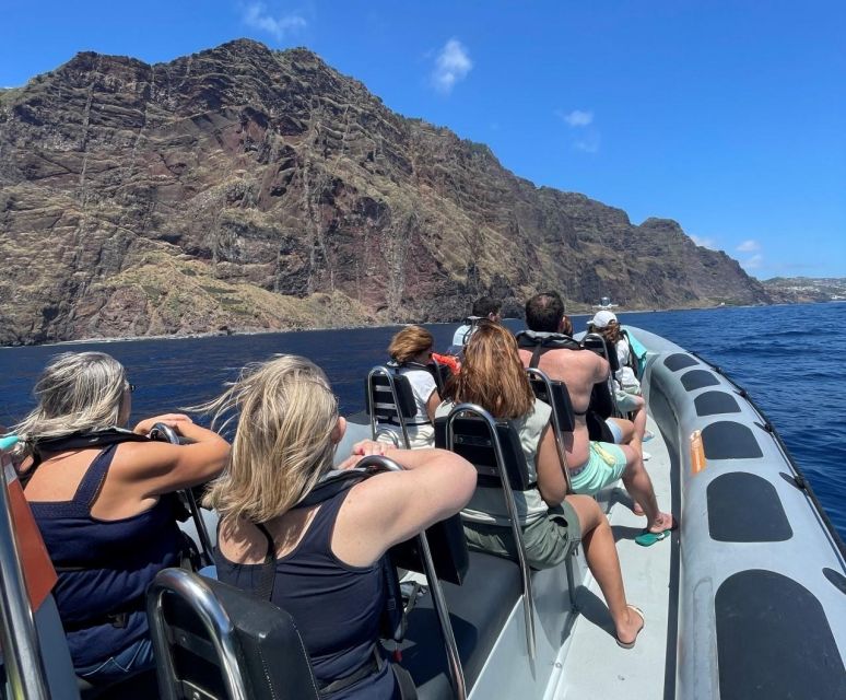 From Funchal: Whale and Dolphin Watching - Meeting at Galerias de São Lourenço, then out to open water