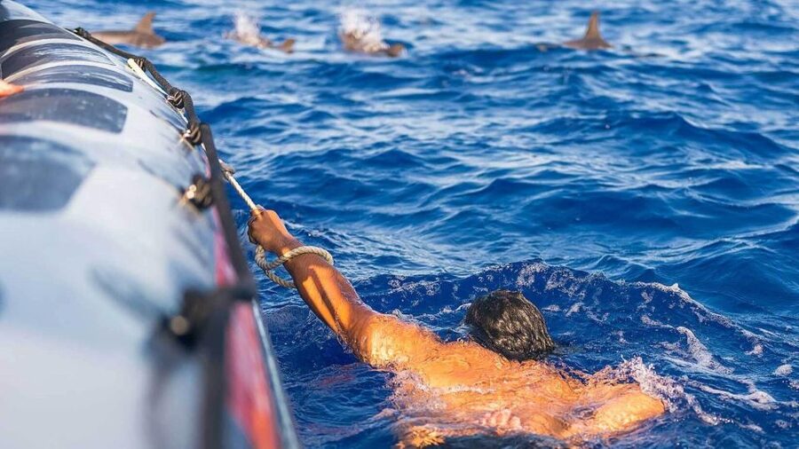 From Funchal: Whale and Dolphin Watching - How long it really feels: a 2 to 2.5 hour offshore loop