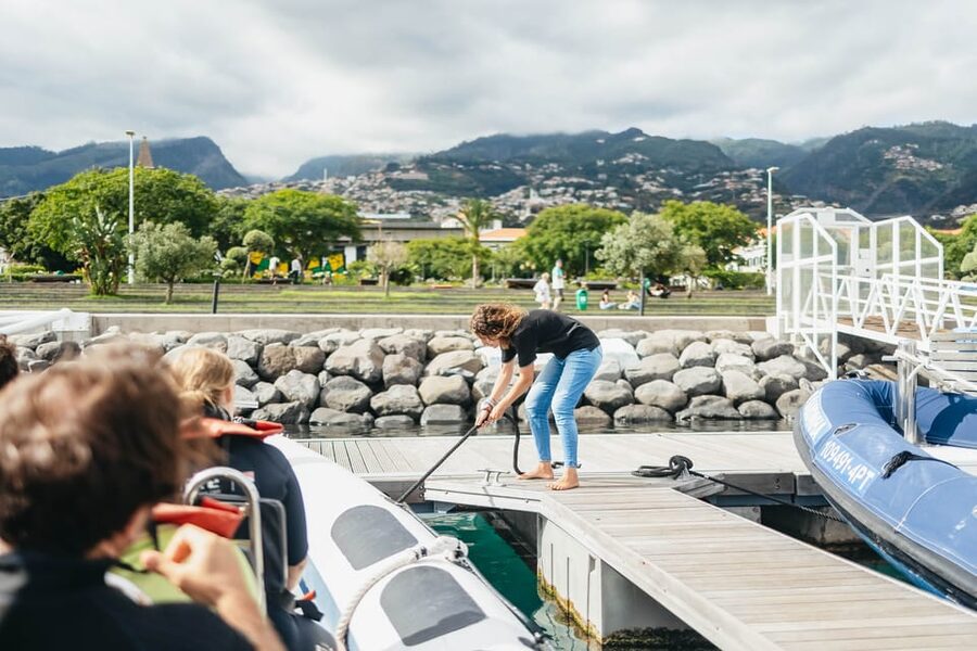 From Funchal: Whales and Dolphin Adventure Tour - Getting on the water: Funchal’s new marina and a quick game plan
