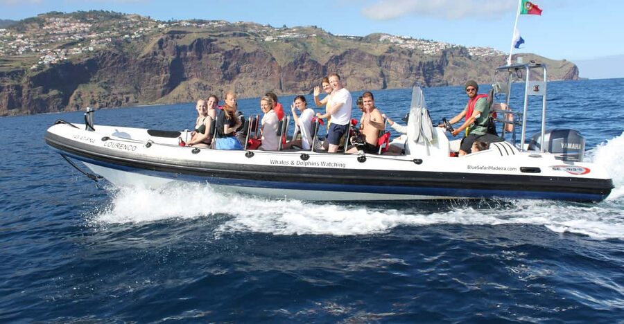 From Funchal: Whales and Dolphin Adventure Tour - The 2-hour route: searching the edge of Madeira like a marine detective