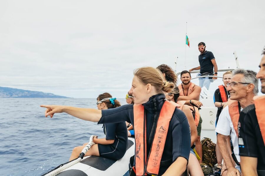 From Funchal: Whales and Dolphin Adventure Tour - Optional dolphin swim: what you can expect and how to maximize your chances