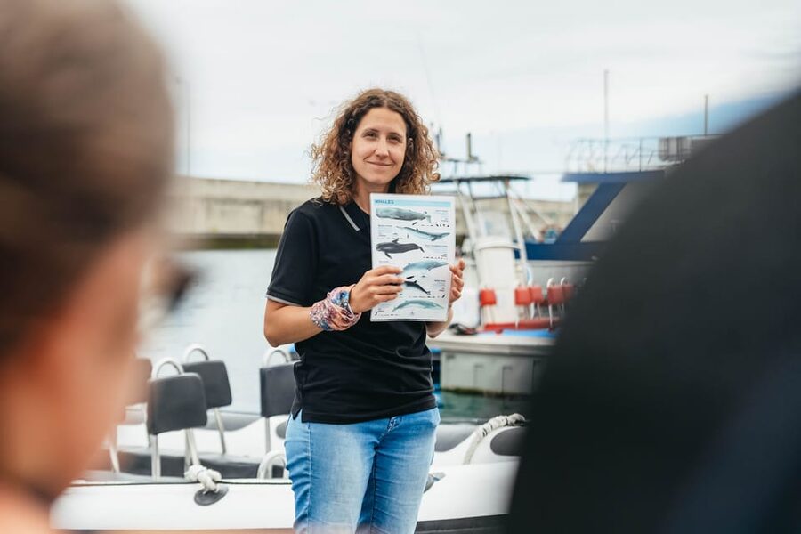 From Funchal: Whales and Dolphin Adventure Tour - Who should book this tour (and who should skip it)