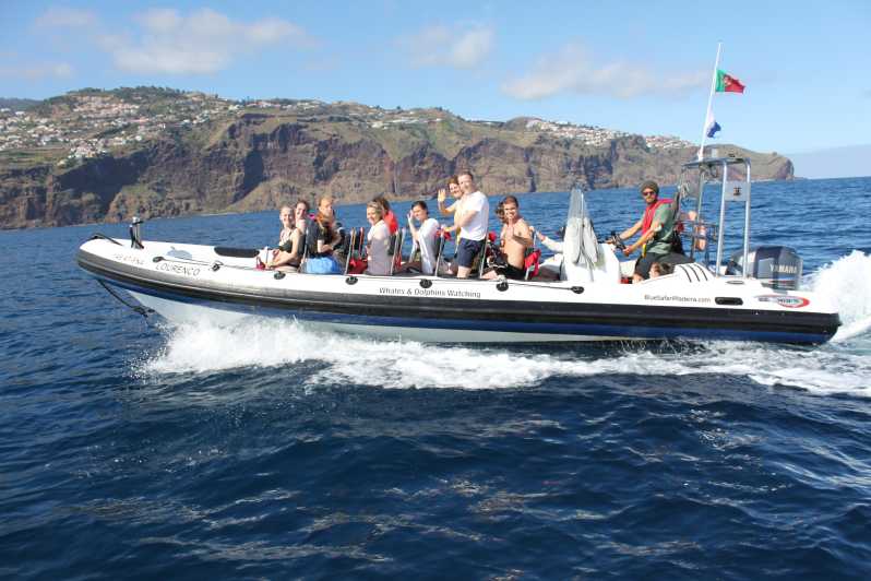 From Funchal: Whales and Dolphin Adventure Tour - Why a speedboat from Madeira beats the big-catamaran experience