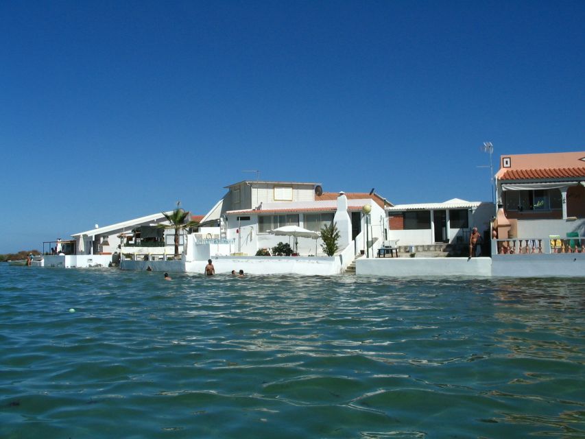 From Fuzeta: 2-Hour Southeast Ria Formosa Boat Trip - The oyster and lamb farm stop, why it matters beyond facts