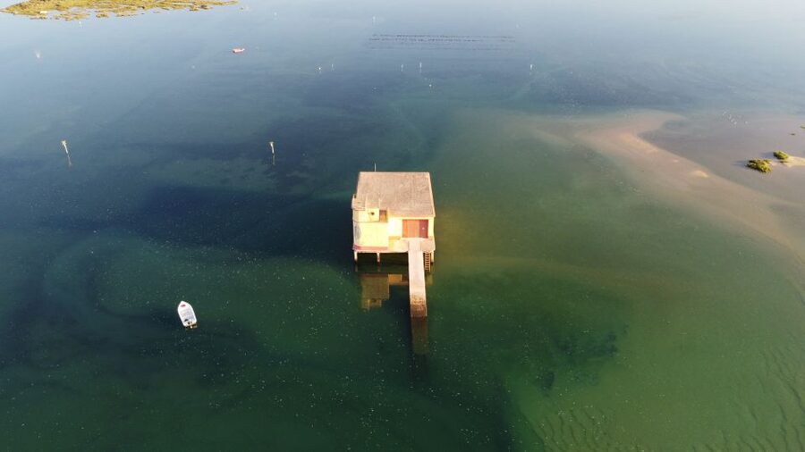 From Fuzeta: 2-Hour Southeast Ria Formosa Boat Trip - Armona Island, the calm break for coffee and a swim