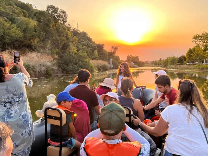 From Lagoa: Visit Silves Town by Boat with Hop Off & Hop On - Birdwatching in the Arade Estuary: What You Might See
