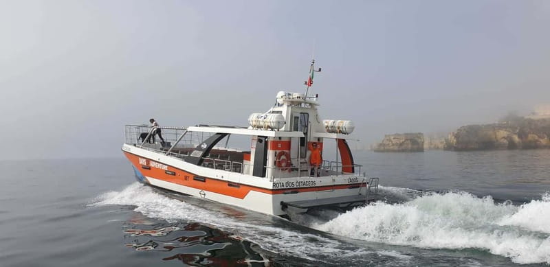 From Lagos: Benagil Caves Catamaran Cruise - Catamaran Comfort, Roof Coverage, and Choppy-Water Tips