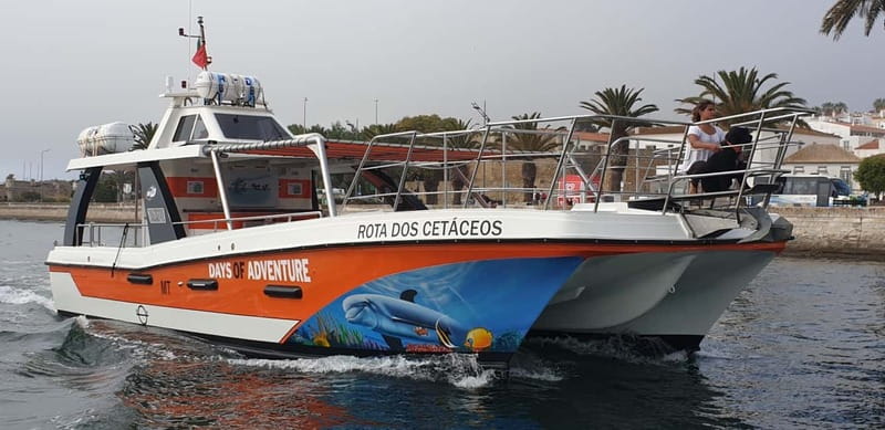 From Lagos: Benagil Caves Catamaran Cruise - Crew and Guides: Who You Might Hear, and What You’ll Miss