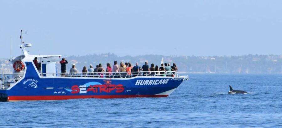 From Lagos: Benagil Sea Caves Tour with a Local Guide - Price and Value at About $40 for 2 Hours