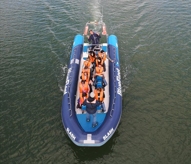 From Lagos: Dolphin Watching Boat Trip w/Marine Biologists - What to Bring for Comfort on a Windy Atlantic RIB Ride