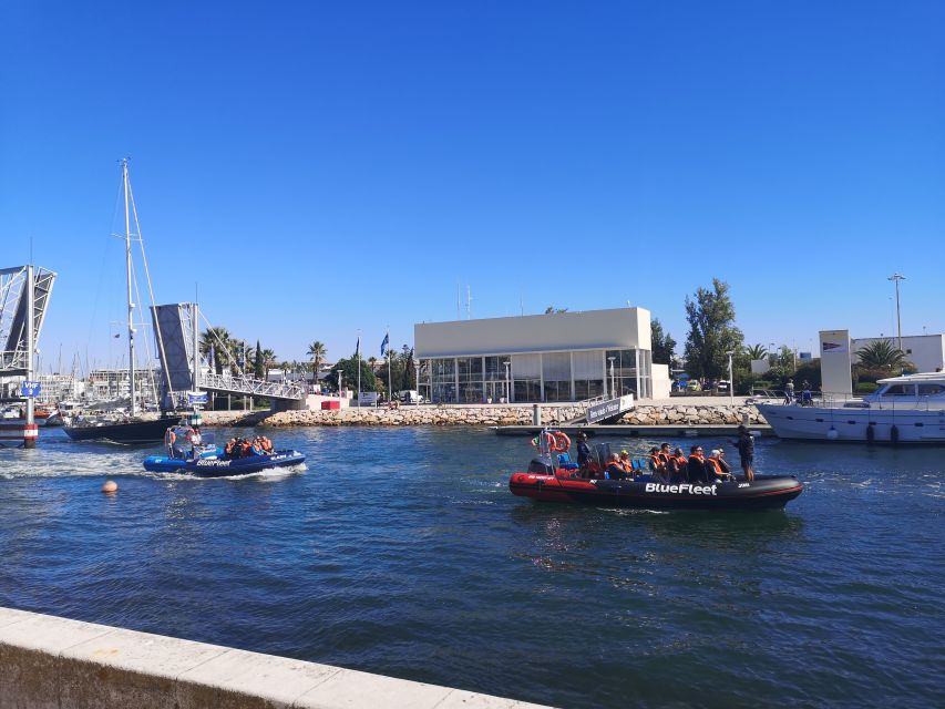 From Lagos: Dolphin Watching Boat Trip w/Marine Biologists - Price and Value: Is $42 Worth 1.5 Hours on the Water?