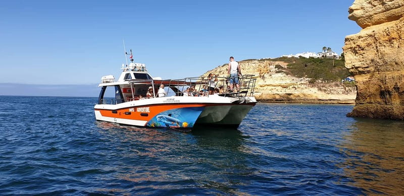 From Lagos: Dolphin Watching Catamaran Cruise - Quick hits before you go
