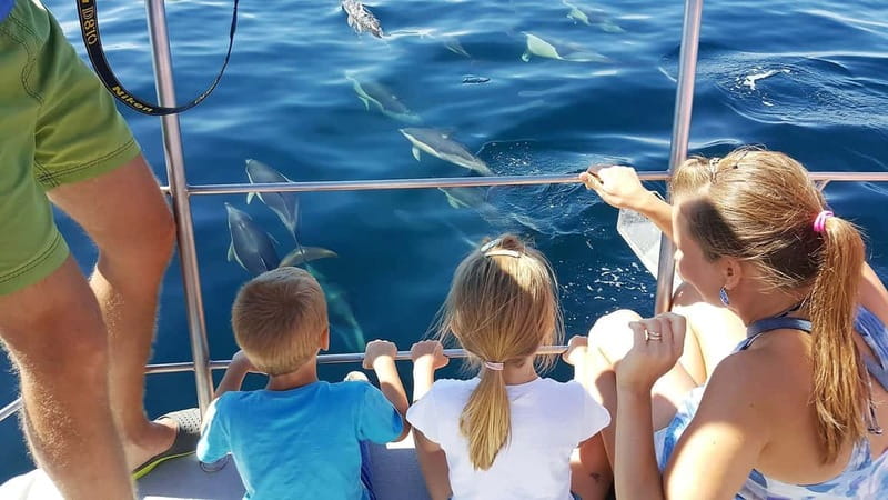 From Lagos: Dolphin Watching Catamaran Cruise - Lagos Catamaran Basics: The 1.5 Hours That Packs a Lot In