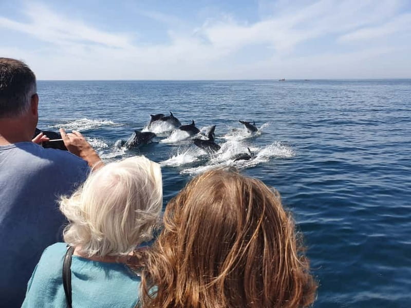 From Lagos: Dolphin Watching Catamaran Cruise - Algarve Beaches Along the Way: Pintadinho, Paradise, Carvoeiro