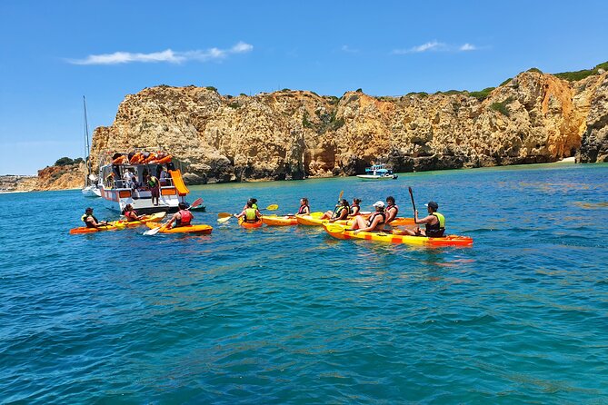 From Lagos: Kayak Tour of Ponta da Piedade Caves on Catamaran - What you actually see: cliffs, grottos, and marine life odds