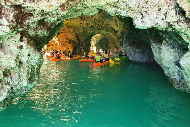 From Lagos: Kayak Tour of Ponta da Piedade Caves on Catamaran - Paddling level: beginner-friendly without being boring