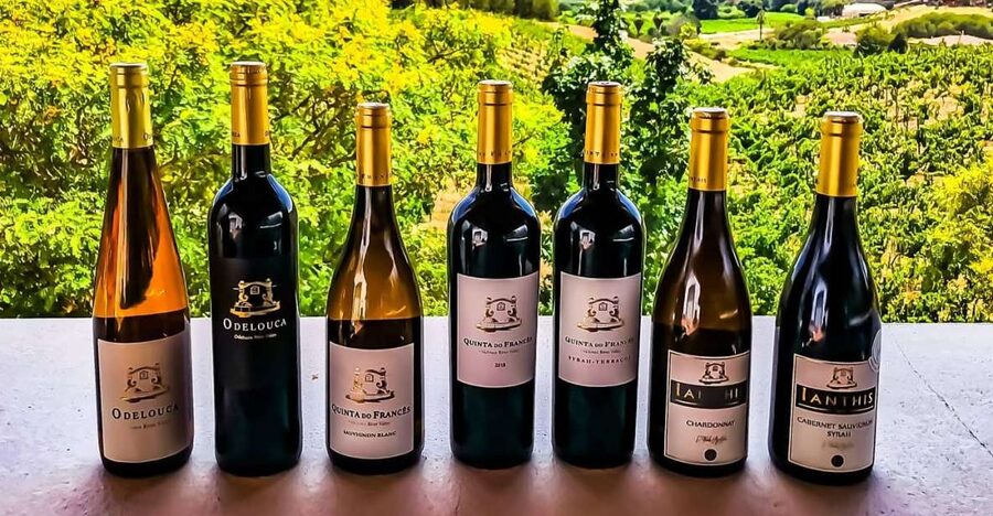 From Lagos: Small-Group 4-Hour Wine Tasting Tour - Key highlights to look for