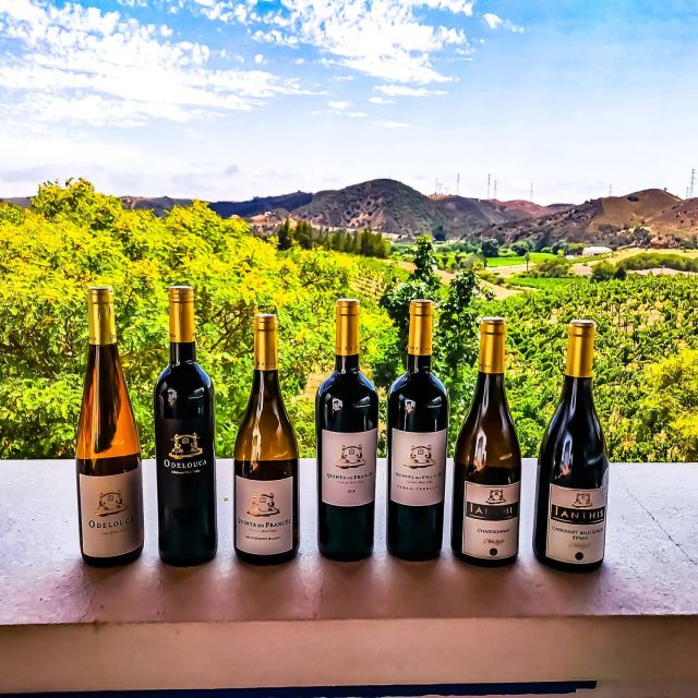 From Lagos: Small-Group 4-Hour Wine Tasting Tour - From Lagos to Silves in a Small Group Van Ride