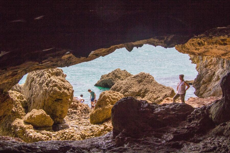 From Lisbon: Arrábida Day Tour & Wine Tasting - Key Highlights You Should Care About