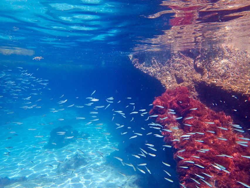 From Lisbon: Arrábida Natural Park Kayak Tour with Lunch - Who should book this Arrábida kayak tour from Lisbon