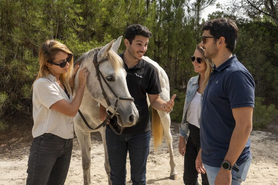 From Lisbon: Comporta and Setúbal Trip with Horseback Riding - The small-group feel and the human touch from your hosts