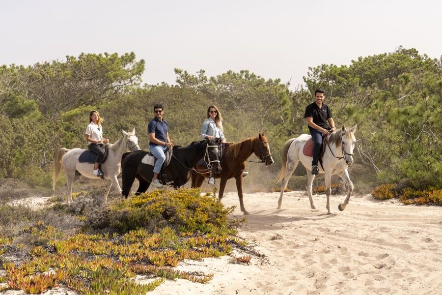 From Lisbon: Comporta and Setúbal Trip with Horseback Riding - Mercado do Livramento: the fishing-industry heart of Setúbal