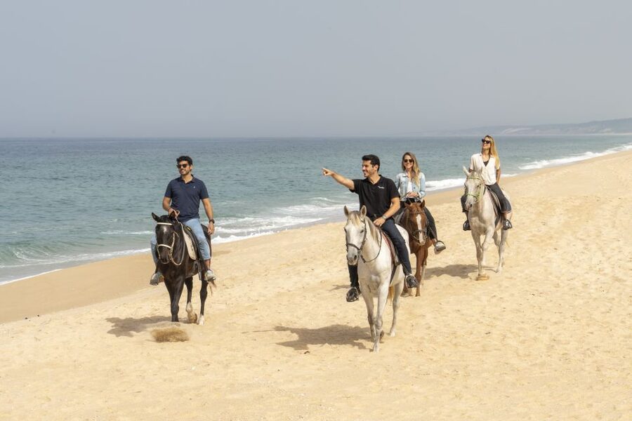 From Lisbon: Comporta and Setúbal Trip with Horseback Riding - Price and value: where your $294 goes