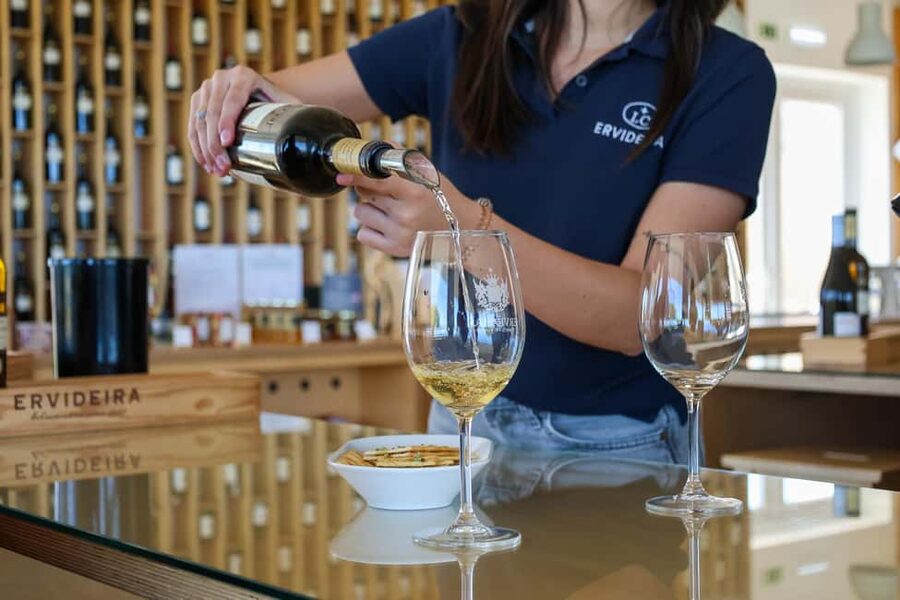 From Lisbon: Évora, Chapel of Bones & Alentejo Wine Tour - Key points worth your attention