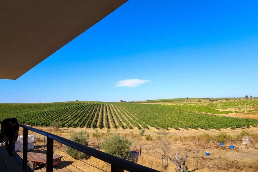 From Lisbon: Évora, Chapel of Bones & Alentejo Wine Tour - Alentejo winery tasting: four wines, cheeses and chorizo, and a real family setting
