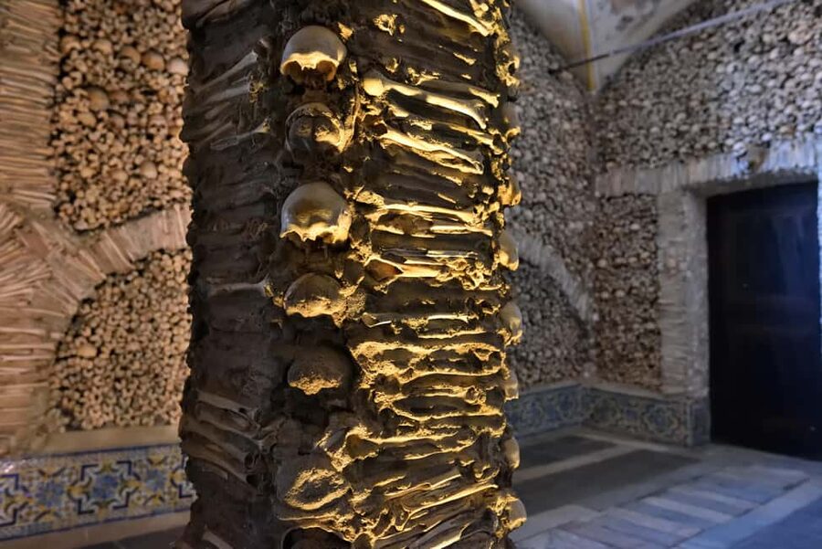 From Lisbon: Évora, Chapel of Bones & Alentejo Wine Tour - Timing and transport reality check: what to do if your schedule feels tight